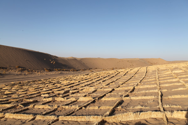 他們，從沙漠中走來……