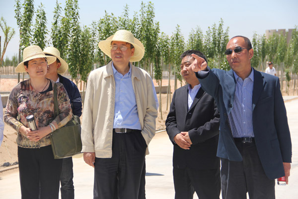 專(zhuān)業(yè)治沙　機(jī)械治沙　科學(xué)用沙