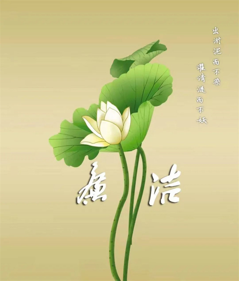 202212161671171636299579.jpg 640 (4).jpg